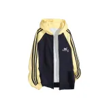 Темно-синий и желтый