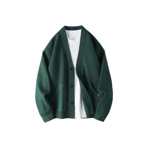 SLLAVIF Зеленый Мужской Трикотаж