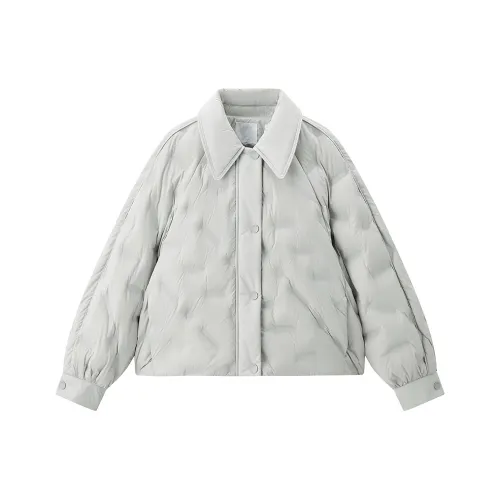 LEDIN Лунный Каменный Серый В наличии Женские Пуховые Куртки