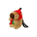 Картон, морская капуста, стиль позиционирования