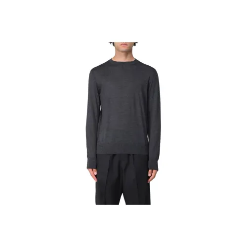 AGNONA Уголь Мужские Свитера
