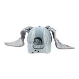 Дэни Звезды