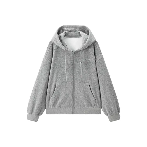 LEDIN Серебристо-серый в наличии Женские Свитшоты