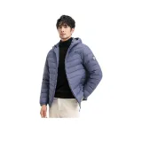 Пыльно-синий