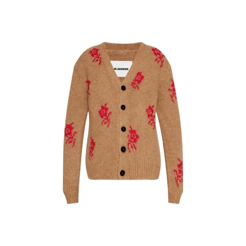 JIL SANDER Коричневый Мужской Трикотаж