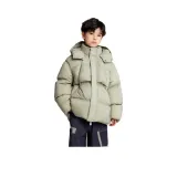 Горох Зеленый