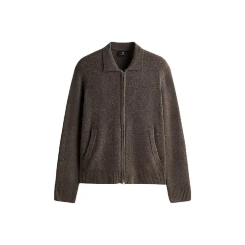 H M Темно-коричневый Мужской Трикотаж