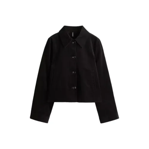 H M Черные Женские Куртки