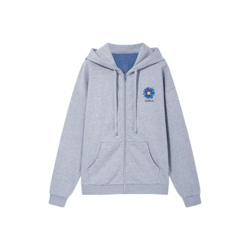 Desigual Светло-серый Женский Короткий Пальто