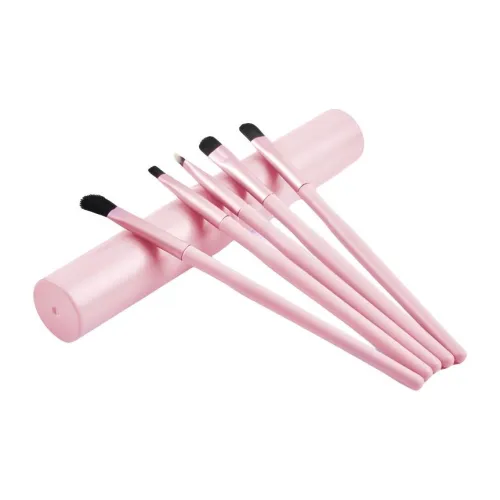 TLXT Маленький 5-штучный набор кистей для макияжа портативные кисти компактный и легкий набор кистей "All in One"