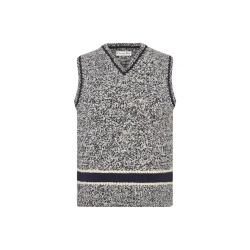 DIOR Quarterly New Products Синий Серый Женский Трикотаж