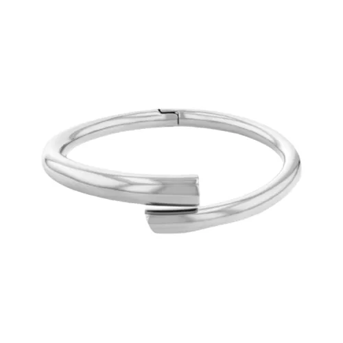 CALVIN KLEIN Браслеты из нержавеющей стали женские золотые