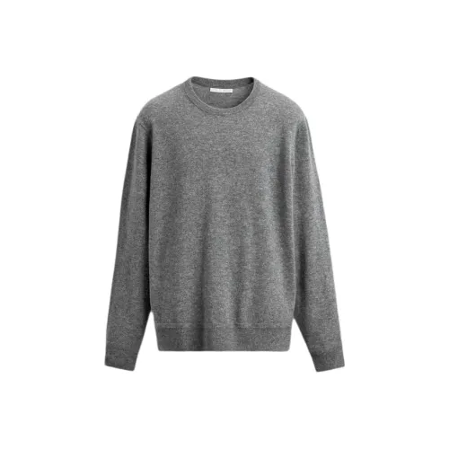 ZARA Зебра с принтом серый мужской трикотаж