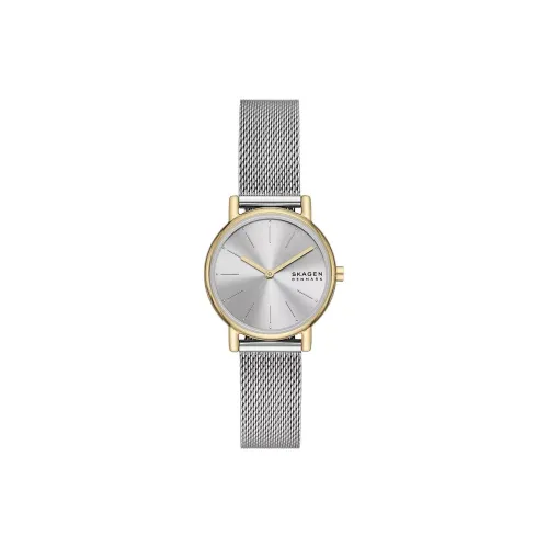 SKAGEN Women's Watch Кварцевый механизм ремешок из нержавеющей стали 30 мм серебристый циферблат