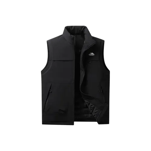 PIERRE CARDIN Одежда Пальто Жилет Мужской