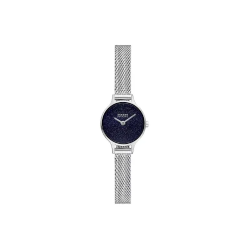 SKAGEN Women's Watch Кварцевый механизм ремешок из нержавеющей стали 22 мм синий циферблат
