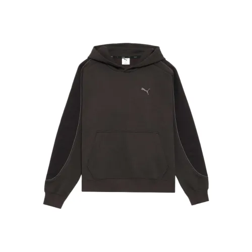 PUMA CORE HERITAGE Толстовка Мужской