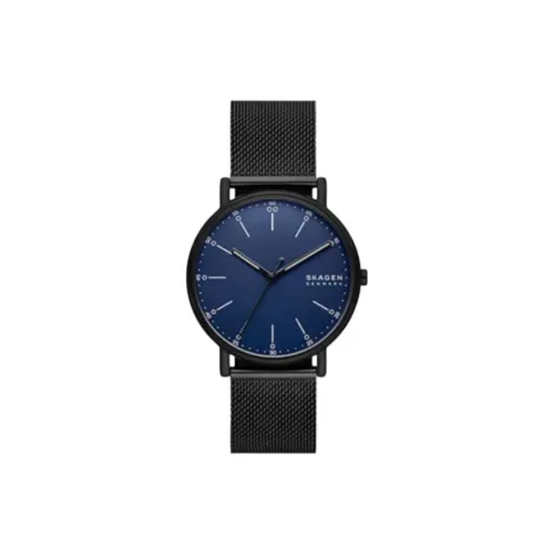 SKAGEN Watch Кварцевый механизм Нержавеющая сталь Ремешок 40 мм Синий циферблат Унисекс