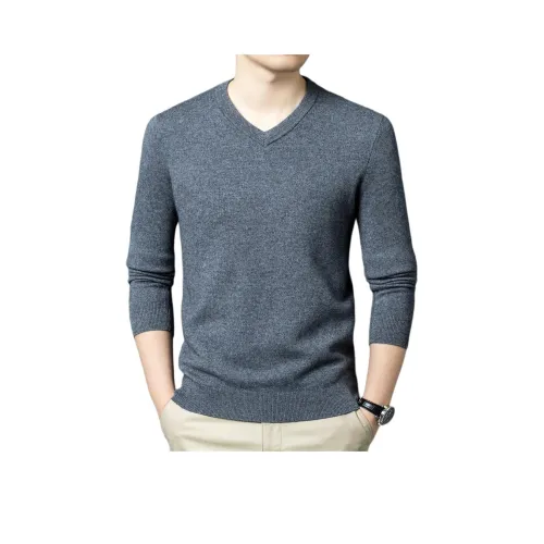 PIERRE CARDIN Мужские Свитера