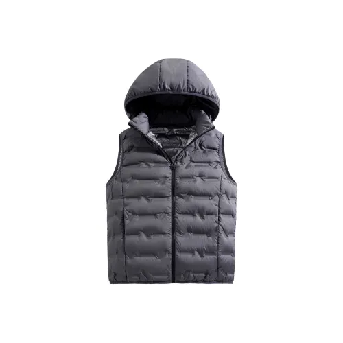 PIERRE CARDIN Одежда Пальто Жилет Мужской