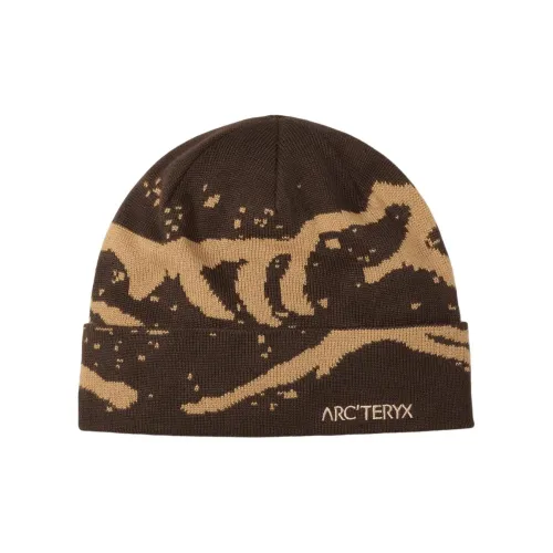 Arcteryx Полиэстер Beanies Мужской Коричневый