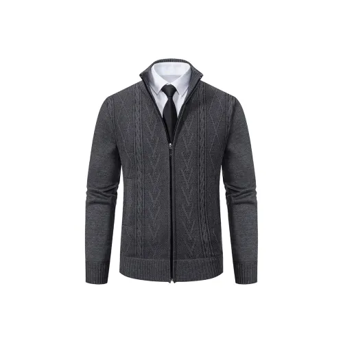 PIERRE CARDIN Мужской Трикотаж