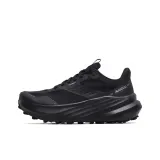 Воинский черный