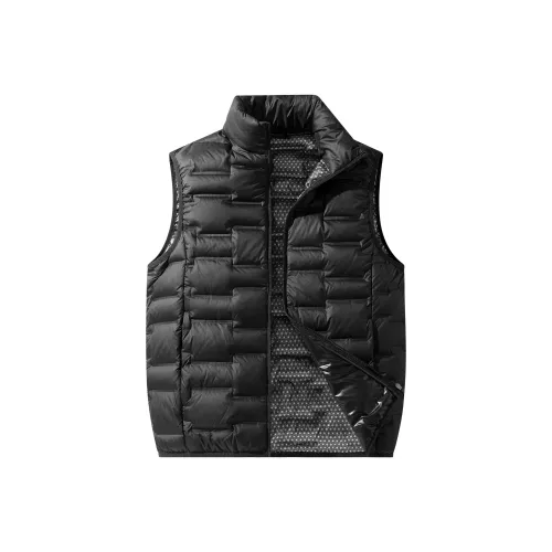 PIERRE CARDIN Одежда Пальто Жилет Мужской