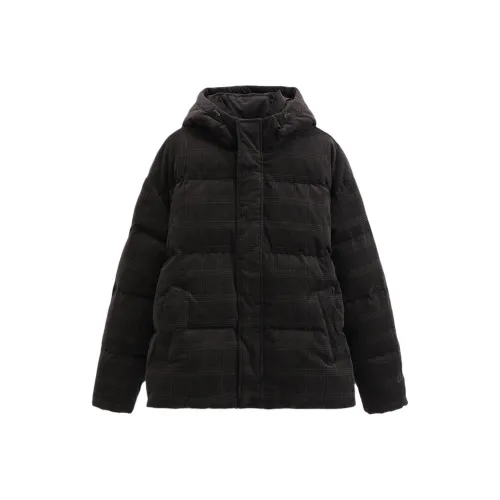 GAP Earth Коричневый Мужской Пуховик