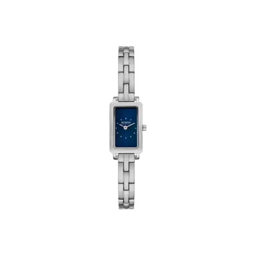 SKAGEN Women's Watch Кварцевый механизм ремешок из нержавеющей стали 31 мм синий циферблат