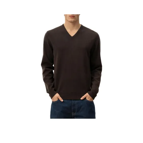 ALLUDE Коричневый Мужской Кашемировые Свитера
