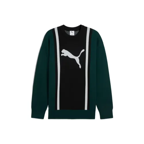 PUMA Зеленые Мужские Свитера