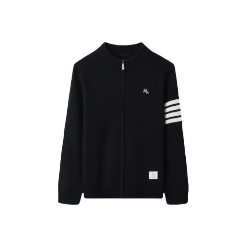 POLOMEISDO Мужские Свитера