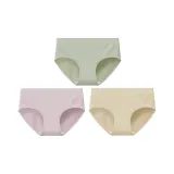 Сливовый Синий, Вишневый цветок Розовый, Окра Желтый