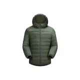 Кедр Зеленый