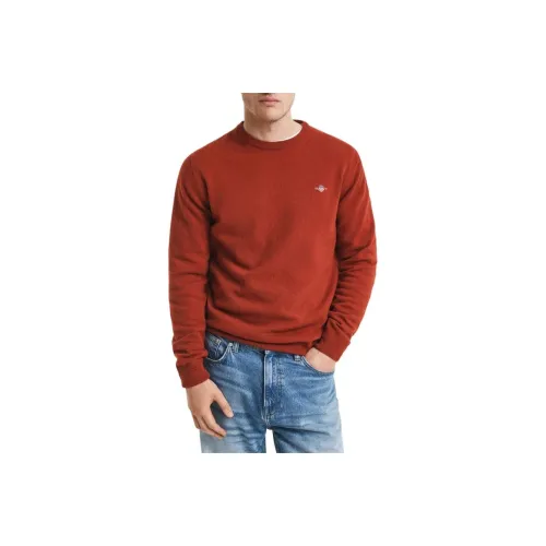 GANT Ржавый Мужской Свитеры