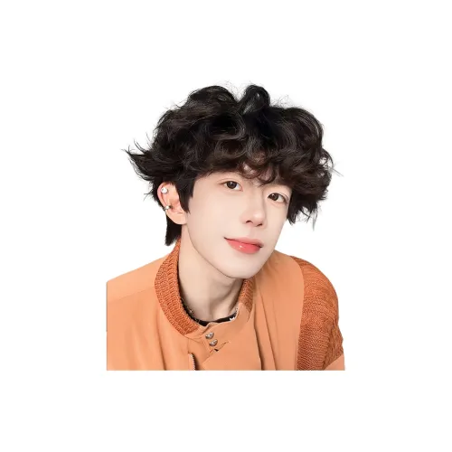 YOUXI Корейский стиль Leslie Кудрявый мужская парик с высокой температурой пряжа короткая кудрявая стрижка