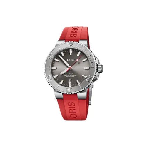Oris Автоматический Механический Механизм Унисекс Часы из Коллекции Diving 43,5 мм Серые