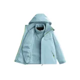 Горчичный серый (3-в-1, с подкладкой)