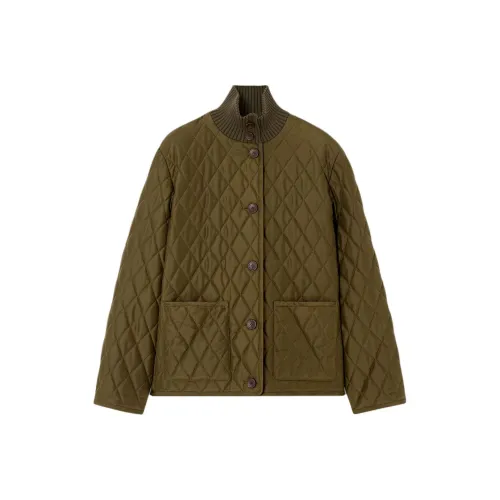 Loro Piana FW25 Хлопковый пуховик Женские