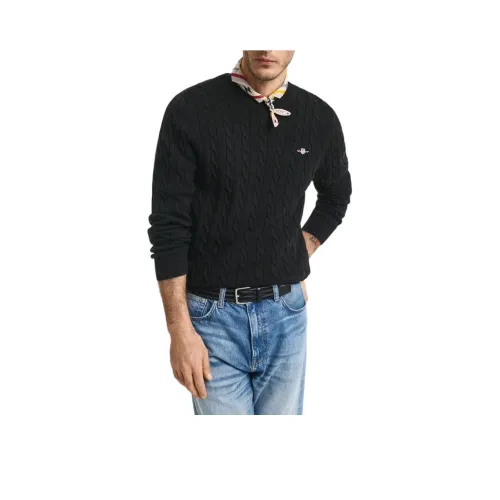 GANT Черные Мужские Свитера
