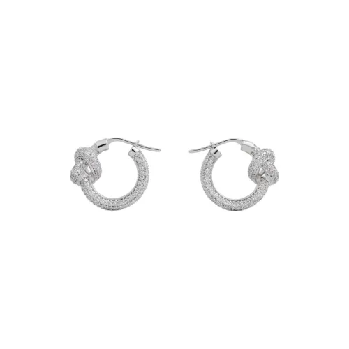 CELINE Брасс Серьги Женские Серебряные