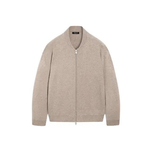 Massimo Dutti Серый Коричневый Мужской Трикотаж