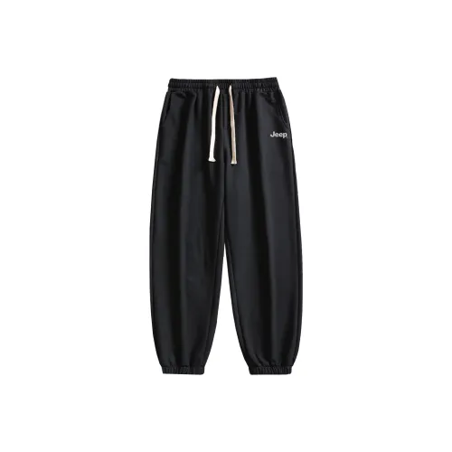 JEEP Унисекс Повседневные Брюки