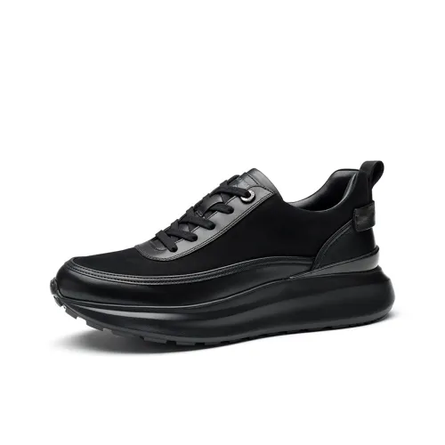 SAINT ANGELO Мужская повседневная обувь Мужская