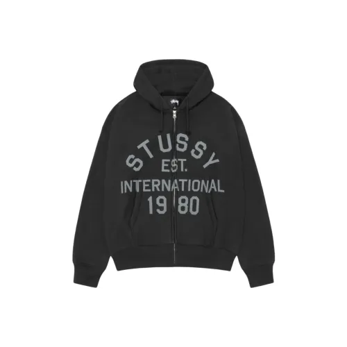 Stussy FW25 ESTABLISHED ZIP Худи Толстовка Унисекс