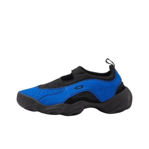 Oakley Factory Team Low Топ Casual Унисекс Синий