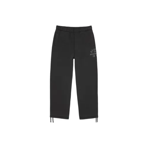 Stussy FW25 ESTABLISHED Флис Брюки Повседневные брюки Унисекс