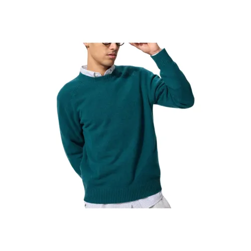 UNIQLO Зеленые Мужские Свитера