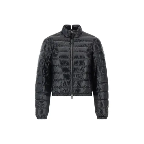 MONCLER GENIUS x Edward Enninful 'knut' Пуховик Женские